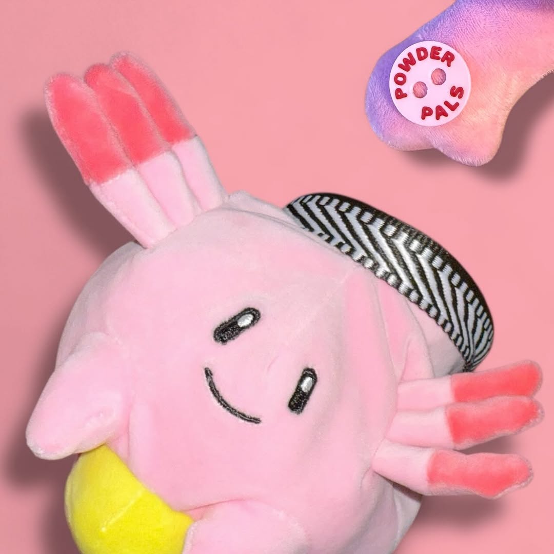 Chansey Chalk Bag - Powder Pals