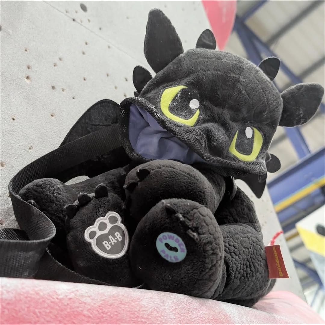 Chalk Bag Plush toy resembling a dragon with large eyes and a blue interior on a textured background