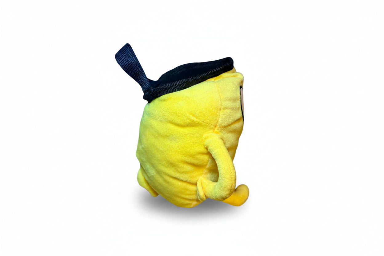 Jake the Dog Chalk Bag | inspired by Adventure Time - Powder Pals